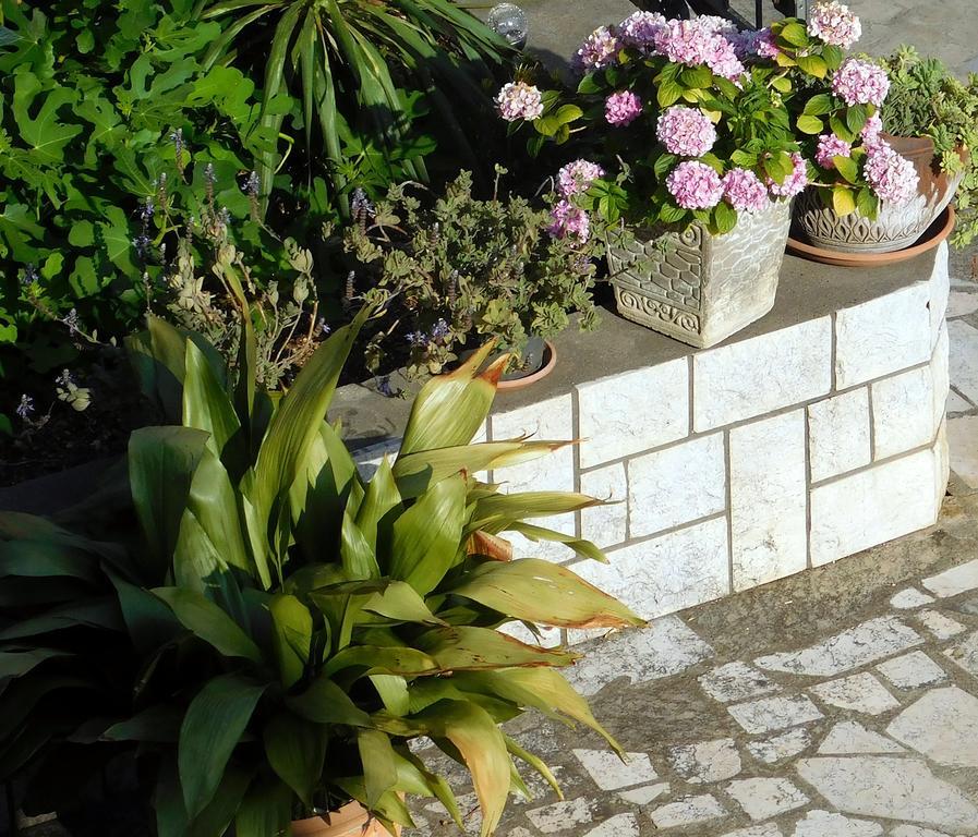 Apartament Rosa *
