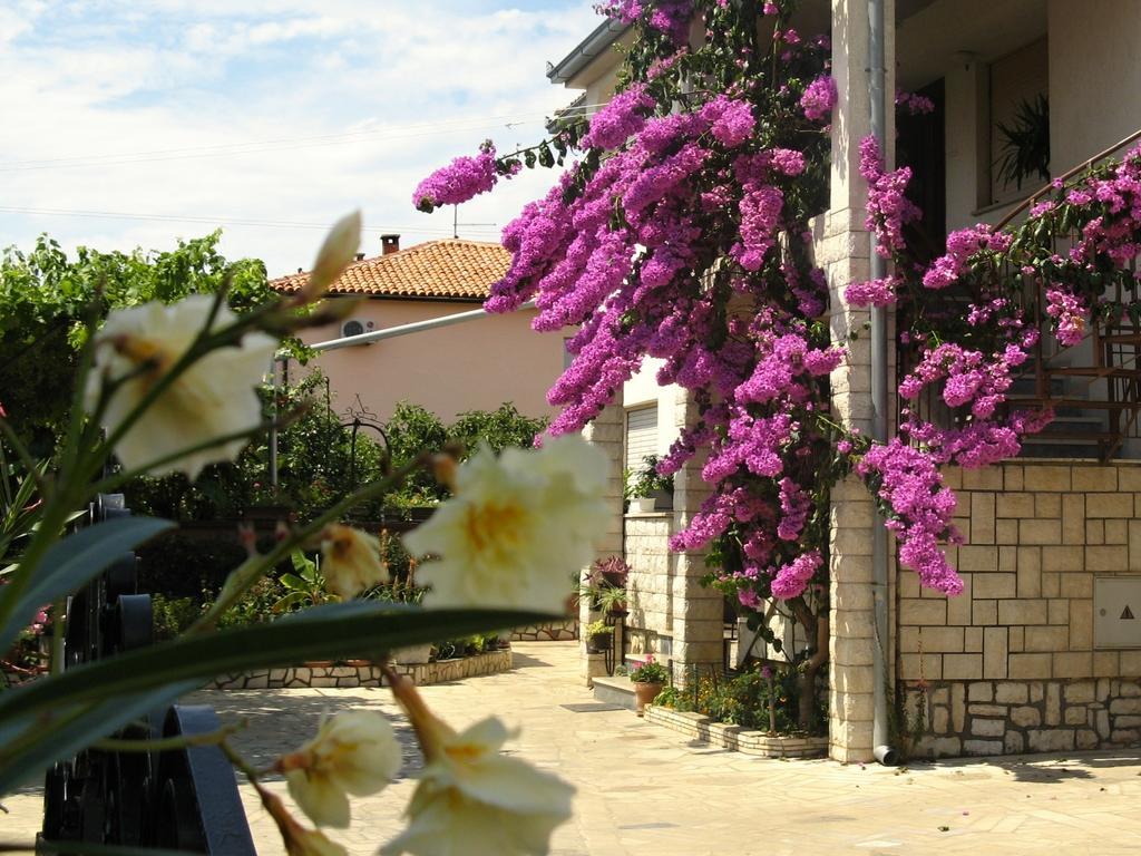 Apartment Rosa