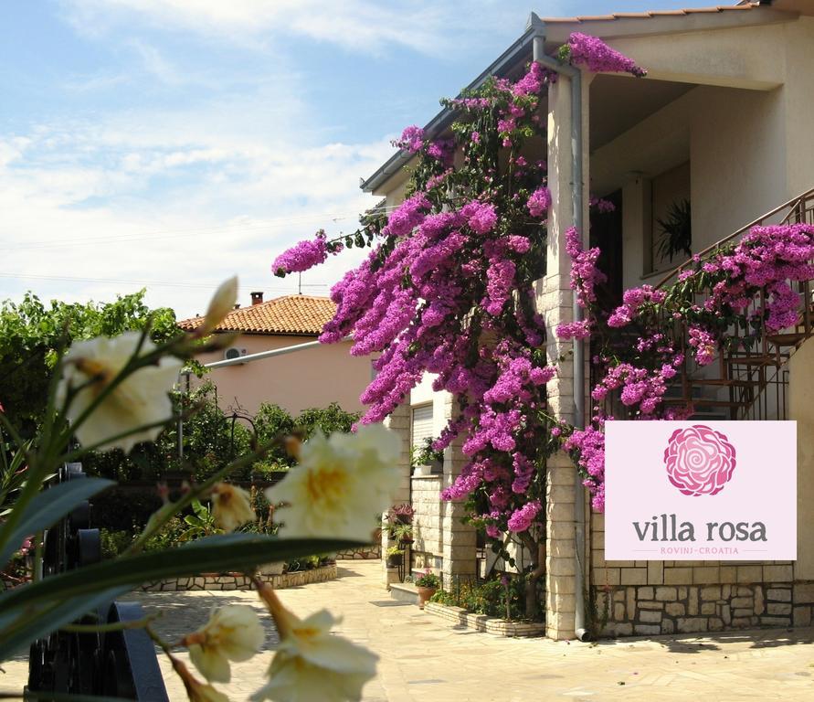 Apartment Rosa