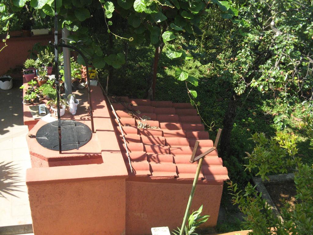 Apartment Rosa