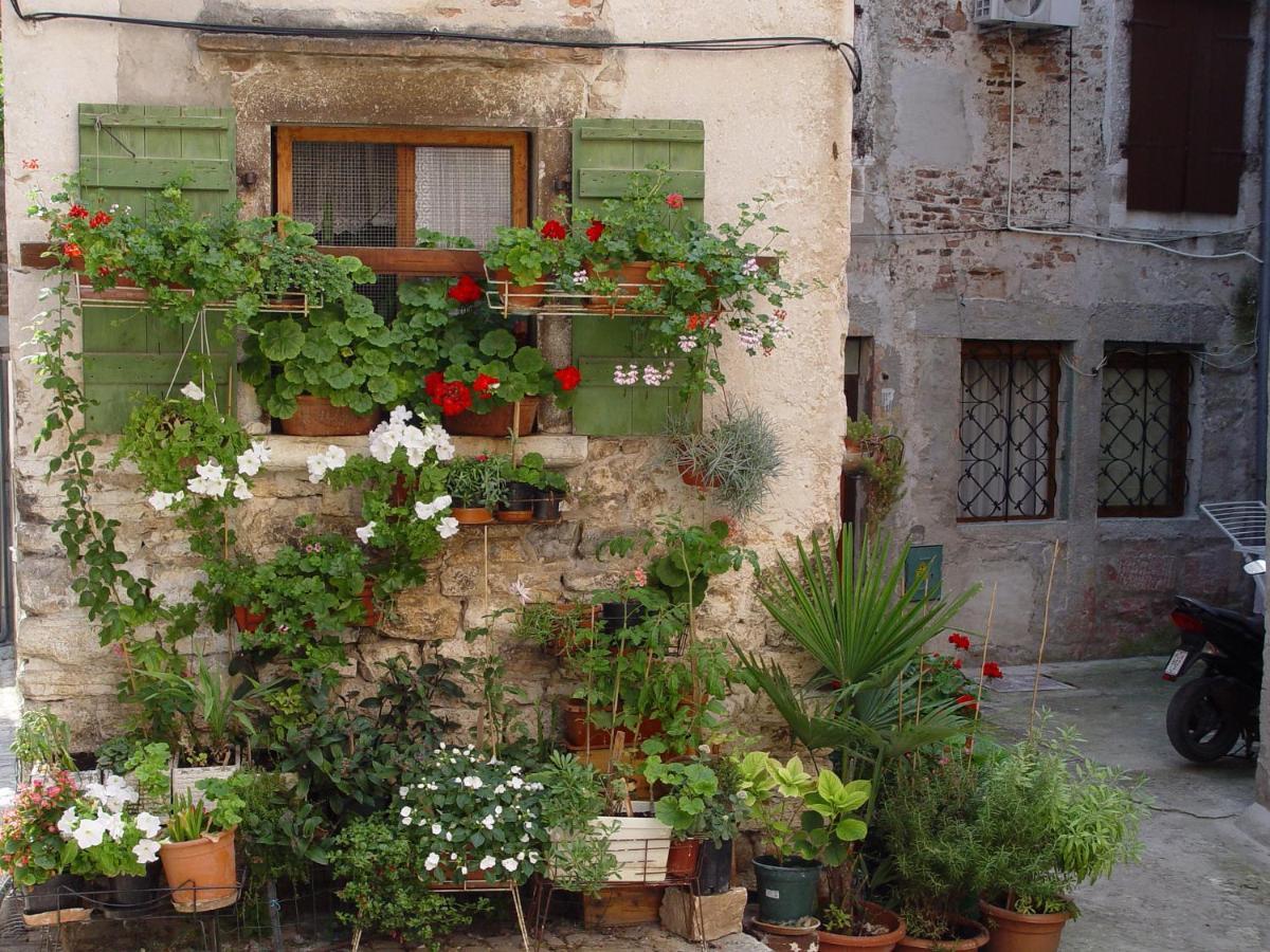 Rosa * Rovinj